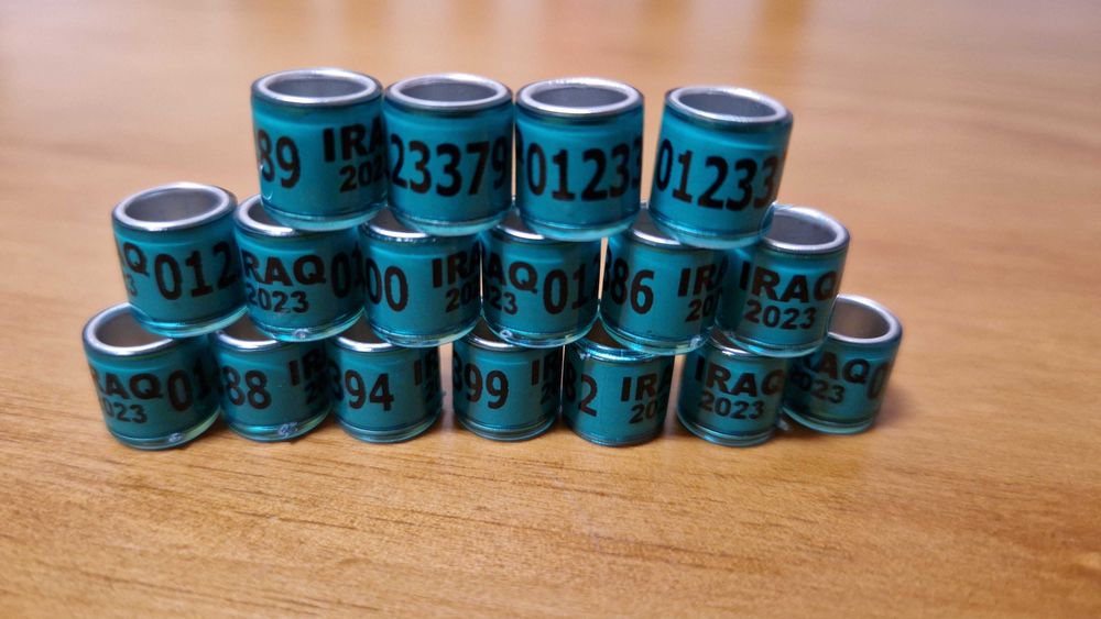 50 anilhas pombos 2025