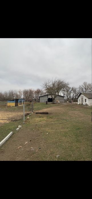 Ферма свиноферма вівчарня