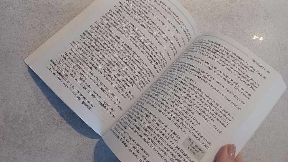 Tajniczy ogród książka