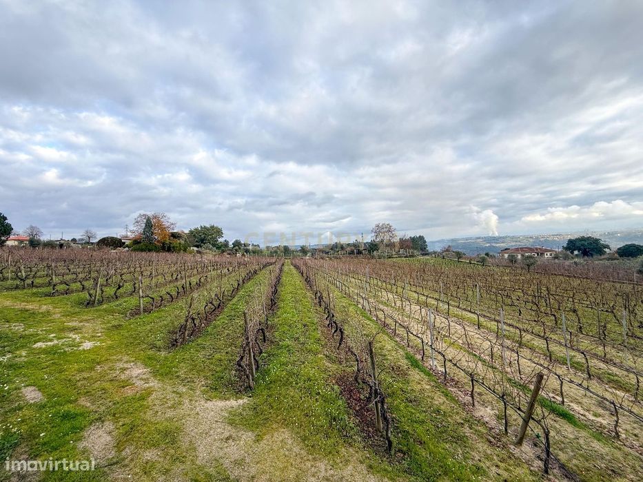 Terreno agrícola em São João de Lourosa, Viseu — São João de Lourosa, Viseu