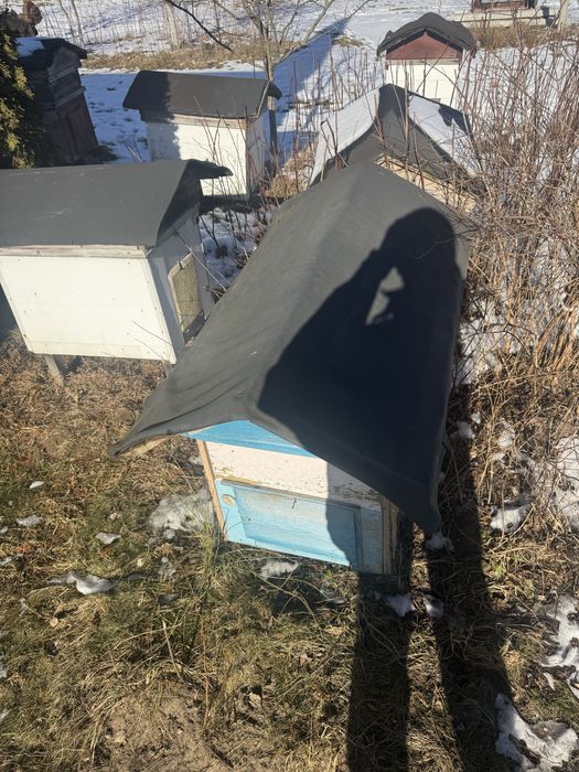 Вулики, вулик Бджолині хатки.