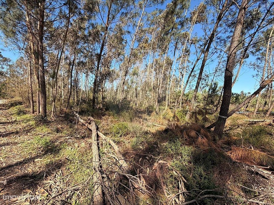 Terreno  para venda — Pombal, Leiria