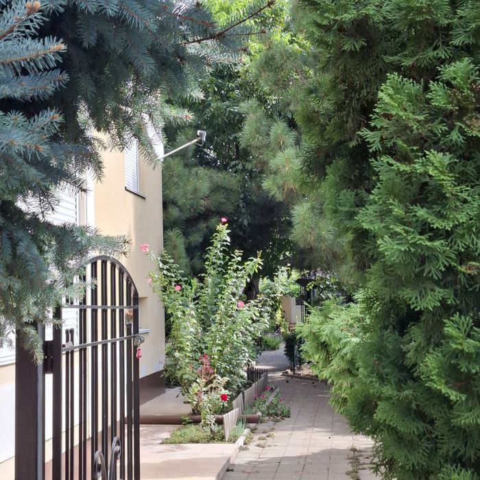 Профессиональная уборка.