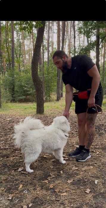 Кінолог. Дресирування собак будь-яких порід та віку
