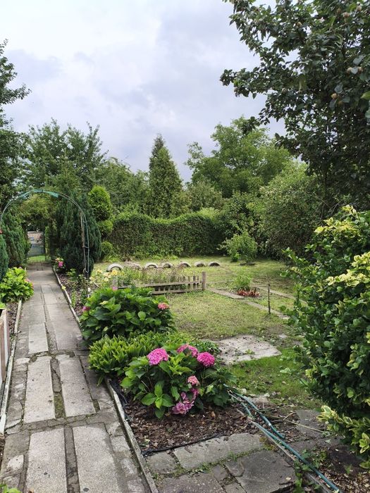 Nowa cena Noworoczna !Ogródek działkowy 503m2