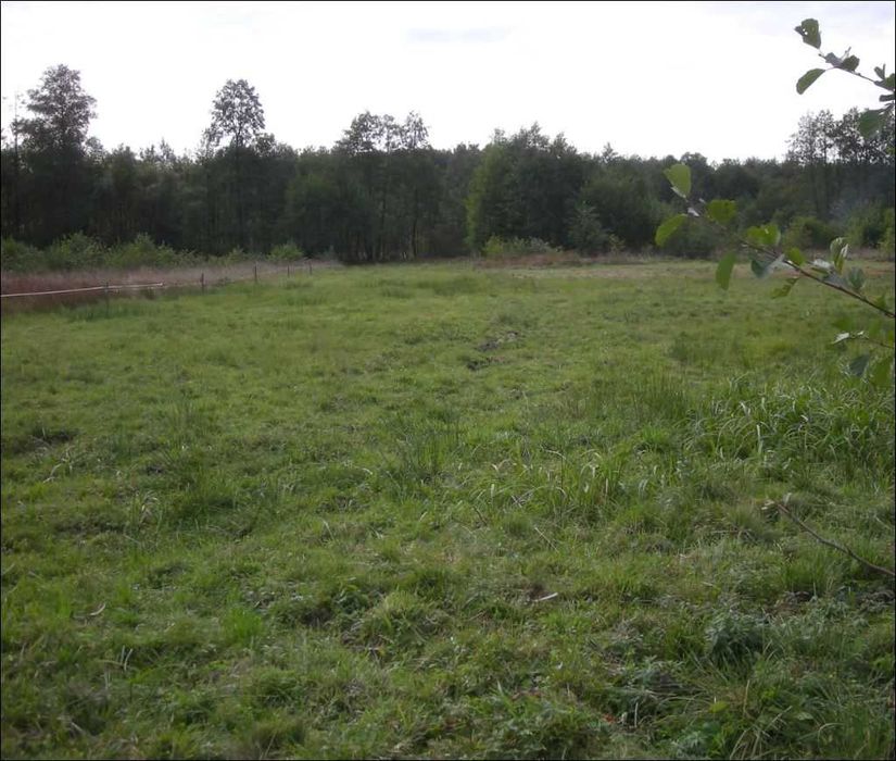 Działka na sprzedaż Małków - WARUNKI ZABUDOWY