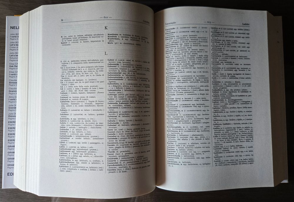 Dizionario Completo: Portoghese (Brasiliano) - Italiano (Vol. II)