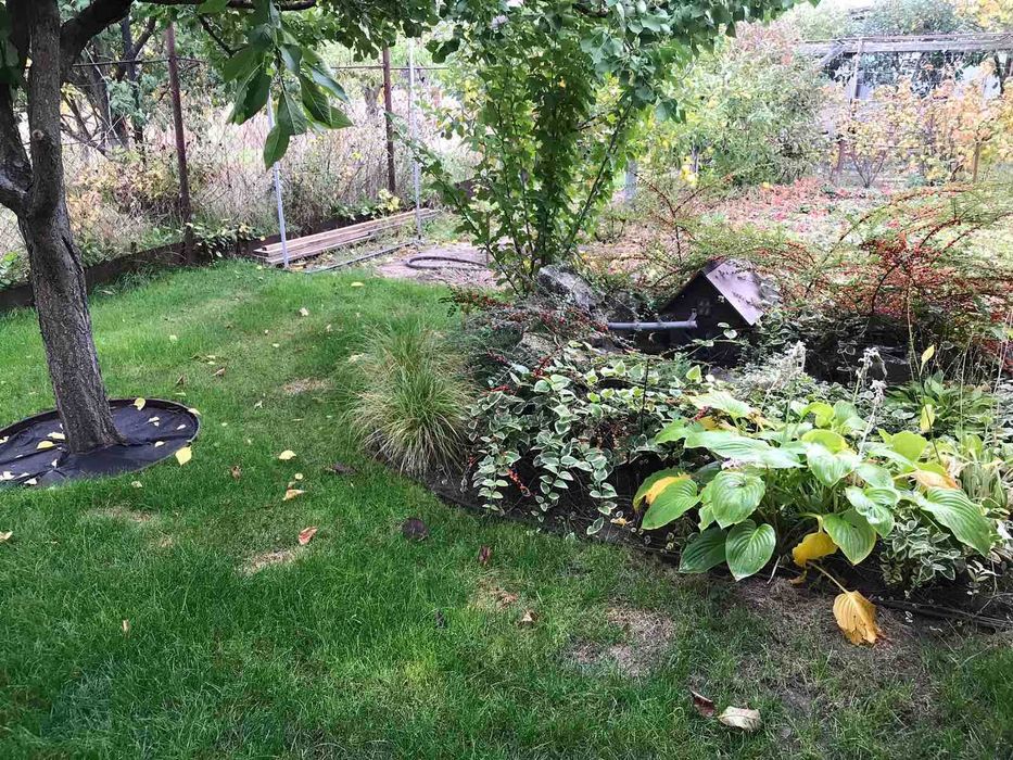 Дача в космическом микрорайоне