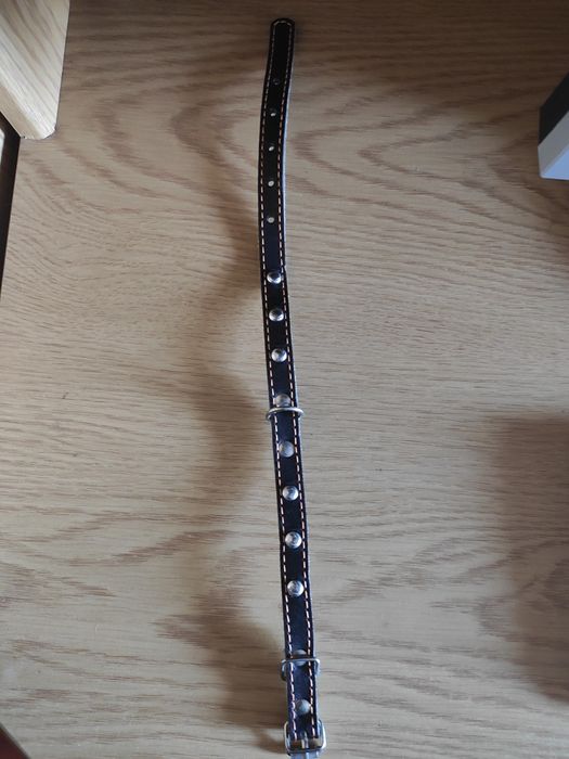 Ошейник collar .
