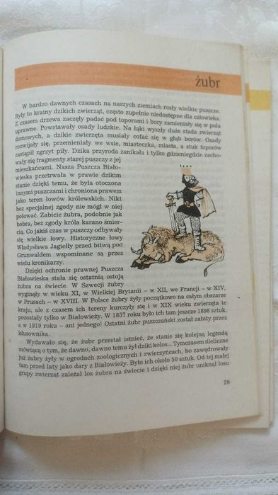 I kudłate i łaciate. Maria Sołtyńska 1986 Wartość antykwaryczna