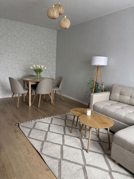2 pokoje po generalnym remoncie | 48,7 m² | ostatnie piętro | widok na zieleń | Zabrze Maciejów - Widok 6