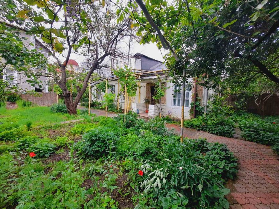 Сдам домик Аркадия 3 к+ кабинет,большой участок, животных можно!