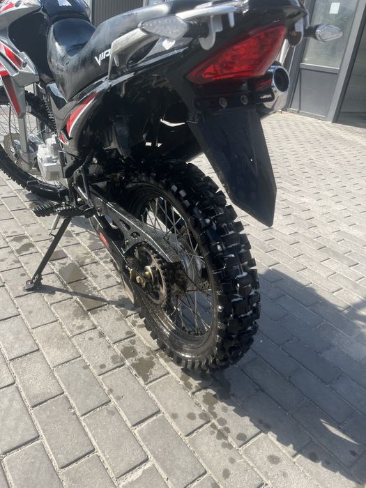 Viper V250L 2025