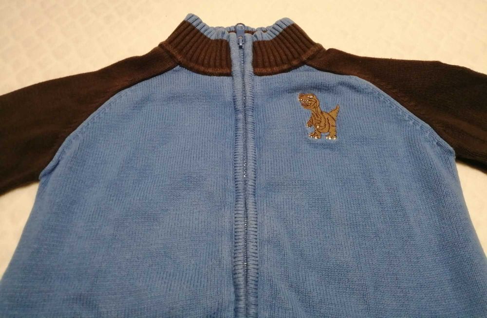 Bluza rozpinana, Okay, 110, Dinozaur, Dino (Odzież)