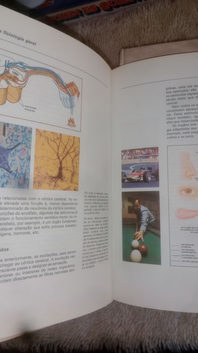 O livro do casal " Coleção"