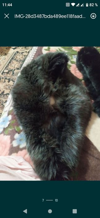 Продам варатнтк писец черный