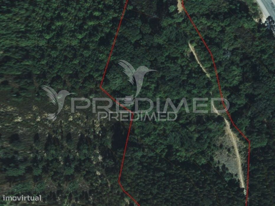 LOUSA. Rural plot of land measuring 16,320 m²