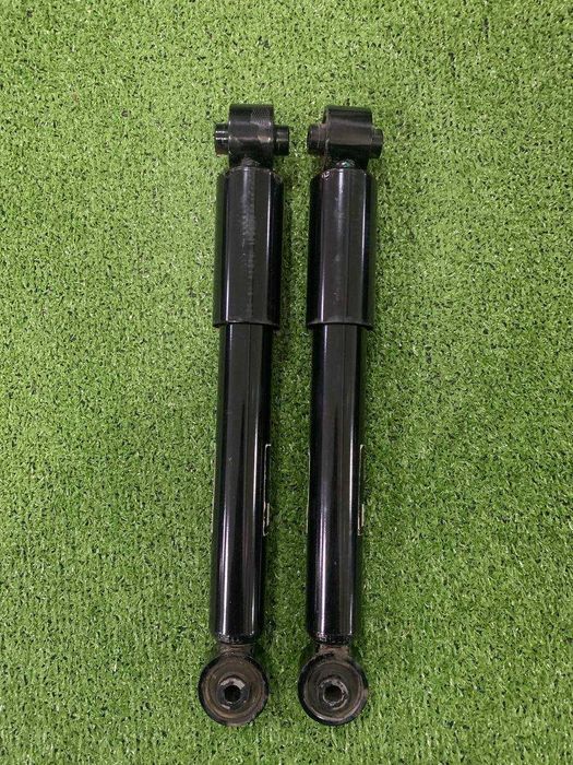 Набір амортизаторів задніх StarLine TL ST063.2 SMART