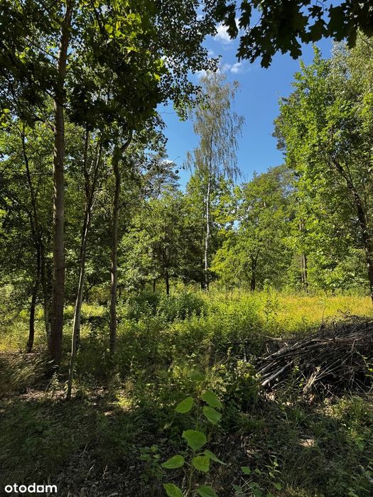 Działka budowlana 1376m² w leśnej okolicy, 20 min autem S7 do Warszawy