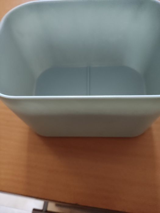 Fonte água nova gatos