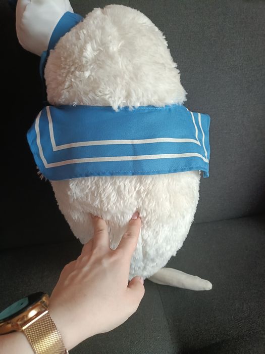 Maskotka foka marynarz