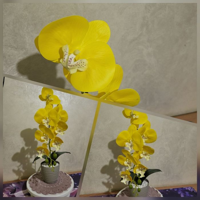 Латекса  орхідеї
