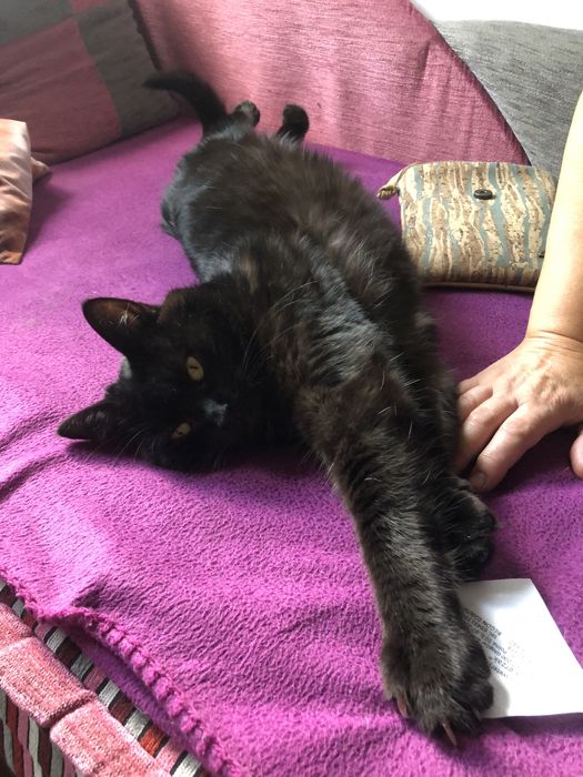 „Jutro wracam do azylu… Czy znajdzie się jeszcze dla mnie dom?”