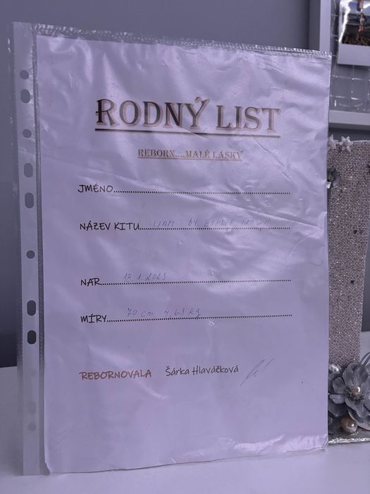 Realborn toddler Liam by Bonnie Brown