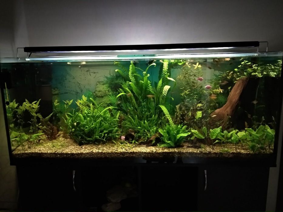 Акваріум 450л тумба