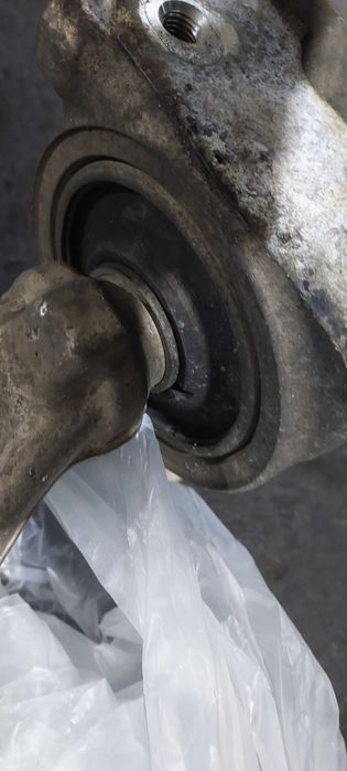 Ричачи нижні лередні під відновлення