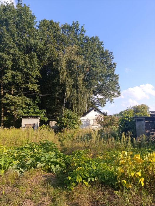 Дача біля лісу, просто поруч - річка Білоус !