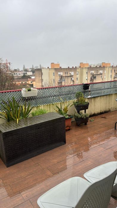 Vasos grandes + planta 5€ cada