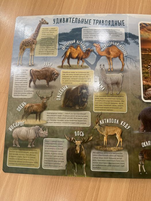 Книга с пазлами «Удивительные животные»
