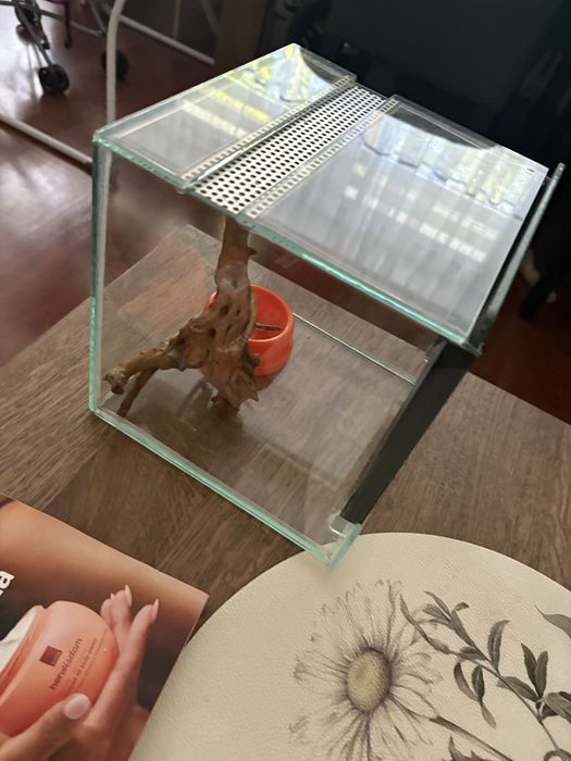 Terrarium, akwarium