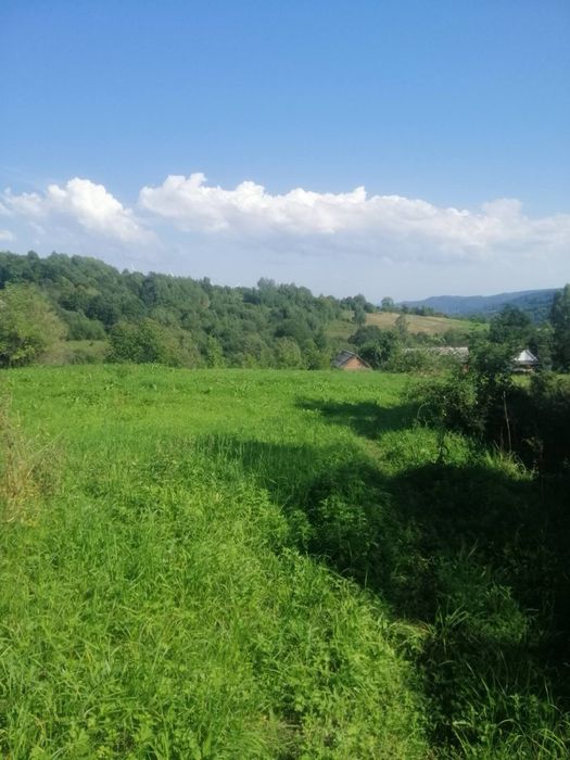 Земельна ділянка в Карпатах з будинком. Село Орів, Трускавецька ОТГ. Ціна 485$ за сотку.