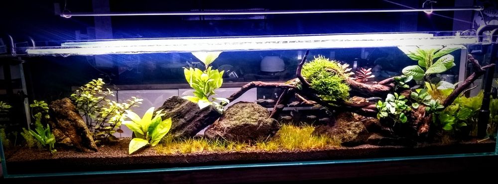 Akwarium  Jamnik okolo 130 litrów