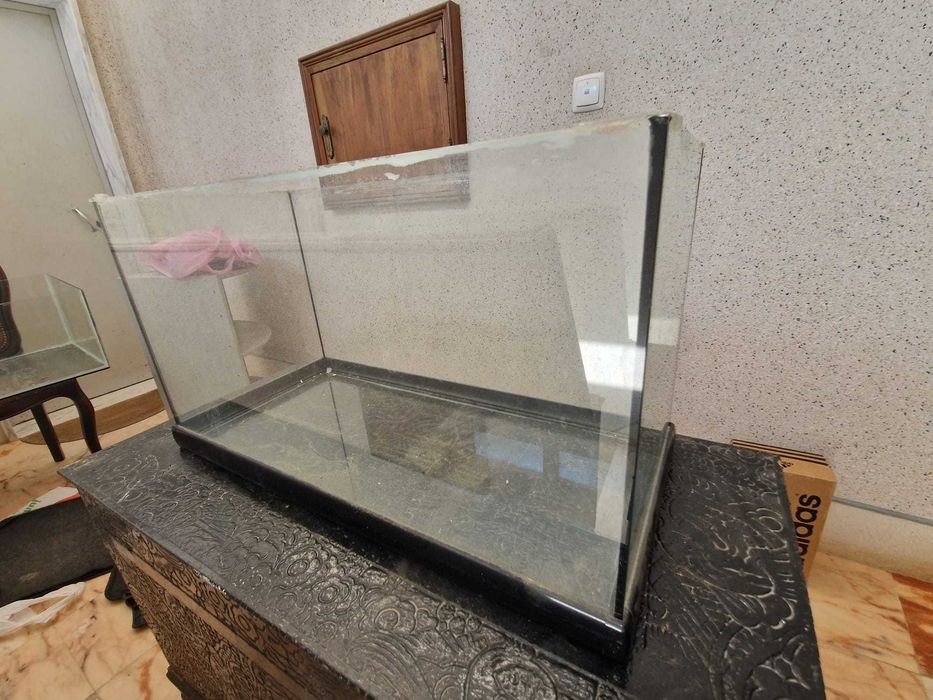 Aquário para peixes ou tartarugas