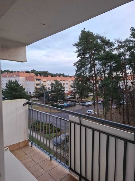 Mieszkanie na wynajem Leszno Rejtana  1200