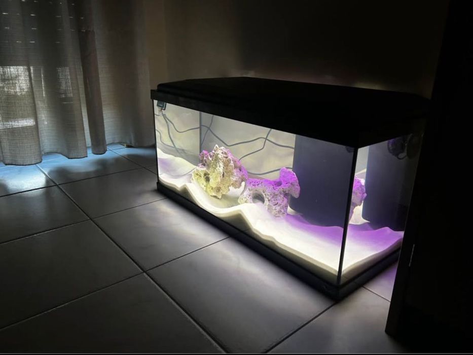 Aquário 100L Garantia