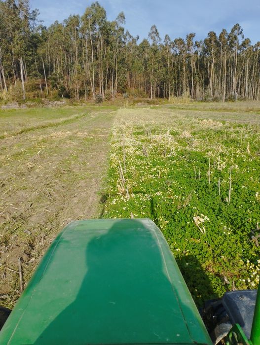 Podas, Jardinagem, Silvicultura e limpezas