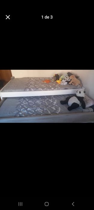 Cama       dupla445039137071441921