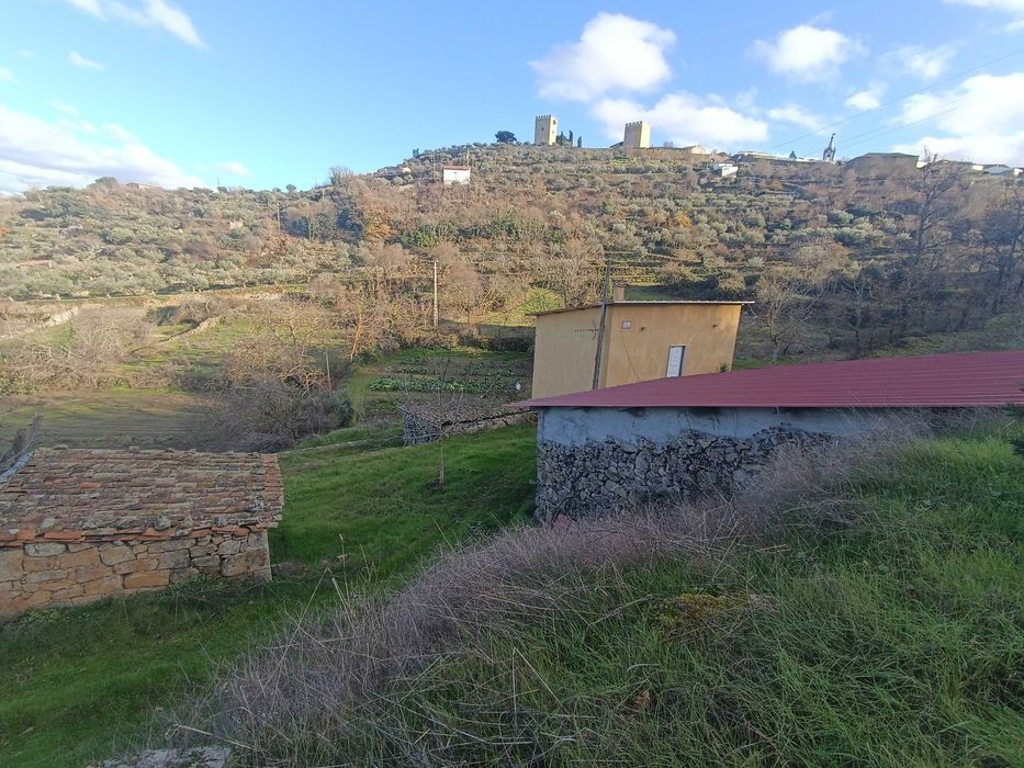 Quinta Pinhel 1 hectare