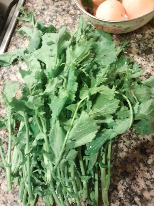 Nabos, nabiças e grelos caseiros