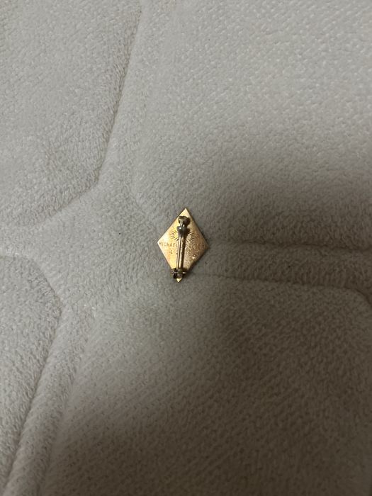 Золота брошка ФГД