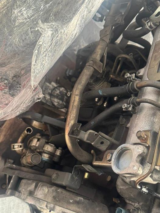 Motor completo NISSAN Almera Tino (V10)
