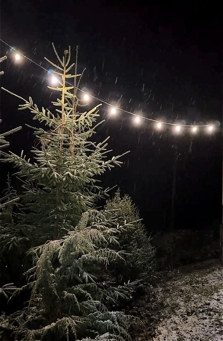 Магія Гір_ Приватна садиба, чан, сауна.