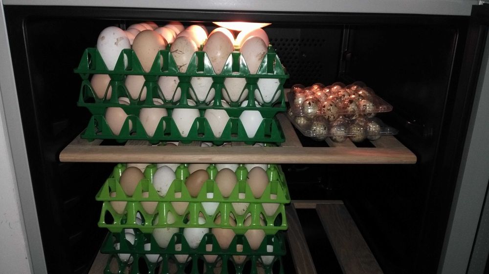 Tacki na jajka 30 szt ok 30 x 30 cm