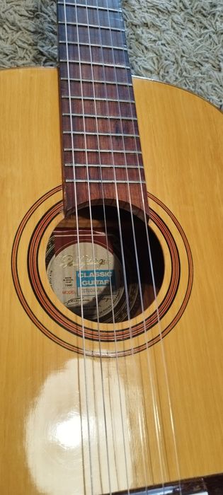 Di Giorgio Estudante n 18