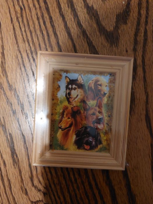 Mały, zafoliowany obrazek bursztyn pieski