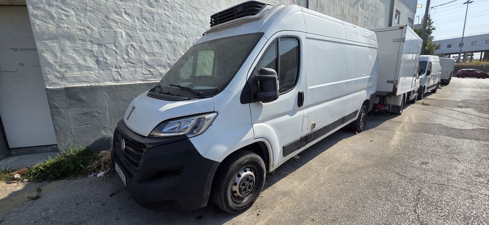 Fiat ducato de frio  congelado